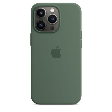 Чохол Silicone для iPhone 13 Pro (LUX) without MagSafe Eucalyptus