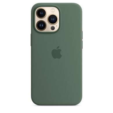 Чохол Silicone для iPhone 13 Pro (LUX) without MagSafe Eucalyptus