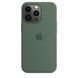 Чохол Silicone для iPhone 13 Pro (LUX) without MagSafe Eucalyptus
