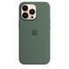 Чохол Silicone для iPhone 13 Pro (LUX) without MagSafe Eucalyptus