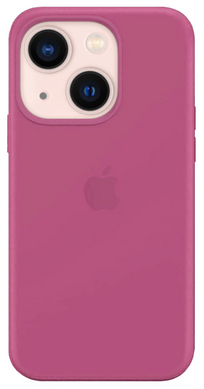 Чохол для iPhone 13 Silicone Dragon Fruit