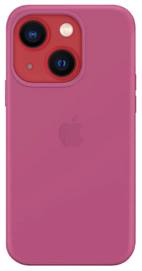 Чохол для iPhone 13 Silicone Dragon Fruit