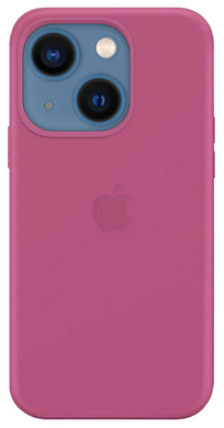 Чохол для iPhone 13 Silicone Dragon Fruit