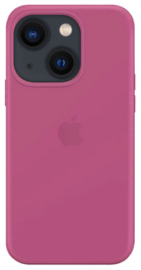 Чохол для iPhone 13 Silicone Dragon Fruit