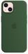 Чохол для iPhone 13 Silicone Cyprus Green