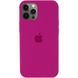 Чохол для iPhone 12 Pro Max Silicone Dragon Fruit
