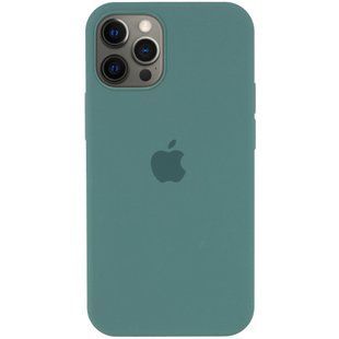 Чохол для iPhone 12/12 Pro Silicone Gray Sky