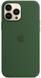 Чохол Silicone для iPhone 13 Pro Max (LUX) without MagSafe Clover