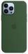 Чохол Silicone для iPhone 13 Pro Max (LUX) without MagSafe Clover