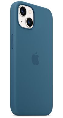 Чохол Silicone для iPhone 13 (LUX) without MagSafe Blue Jay