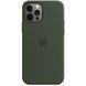 Чохол Silicone для iPhone 12 Pro Max (LUX) without MagSafe Cyprus Green