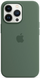 Чохол Silicone для iPhone 13 Pro Max (LUX) without MagSafe Eucalyptus