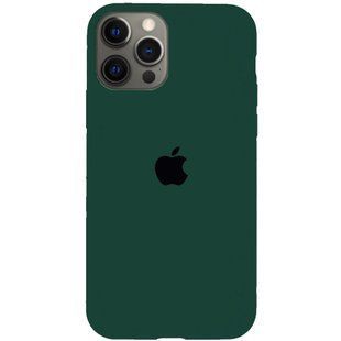 Чохол для iPhone 12 Pro Max Silicone Pasific Green