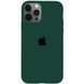 Чохол для iPhone 12 Pro Max Silicone Pasific Green