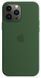 Чохол Silicone для iPhone 13 Pro (LUX) without MagSafe Clover