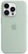 Чохол LUX Silicone Case для iPhone 14 Pro Max Succulent with MagSafe